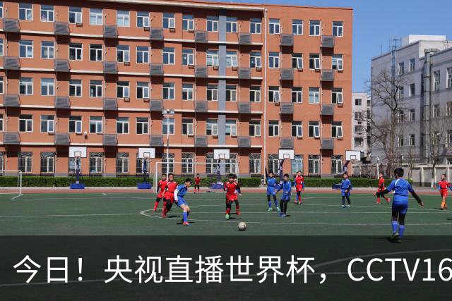 今日！央视直播世界杯，CCTV16转中超，网络转大连鲲城+可为+U17中国男篮+F1等