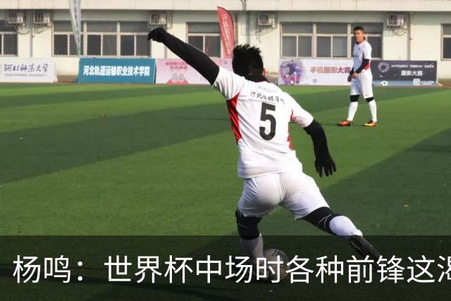 杨鸣：世界杯中场时各种前锋这渴了那饿了全来了 谁能记住后卫呢